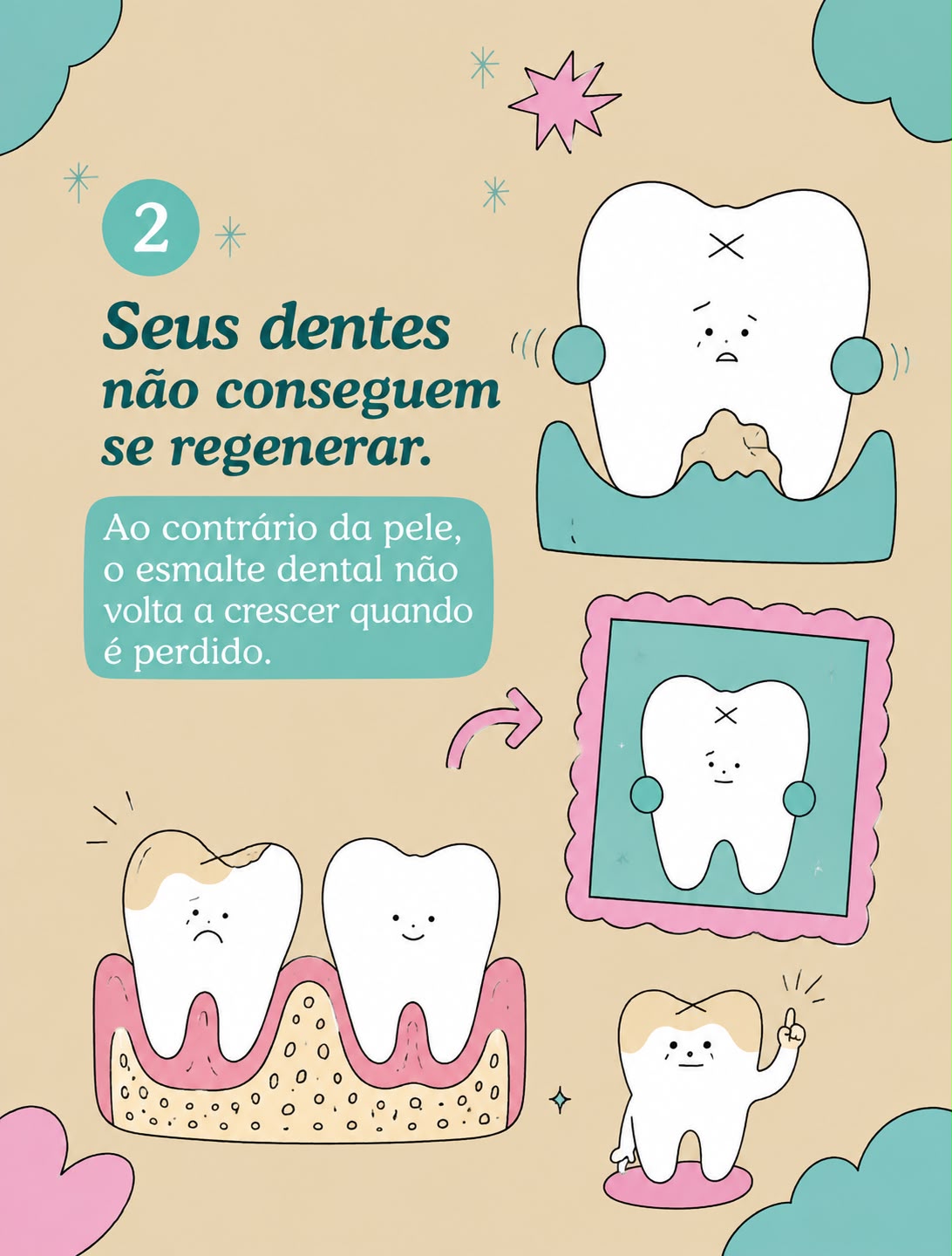Carrossel 3 Curiosidades Sobre Dentes por Catarina Mota Moreno - Slide 3